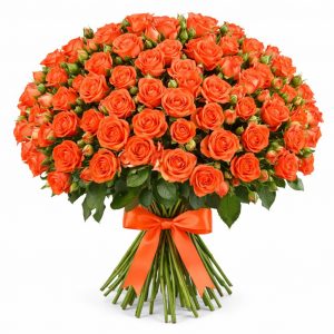 Розы Кустовые оранжевые